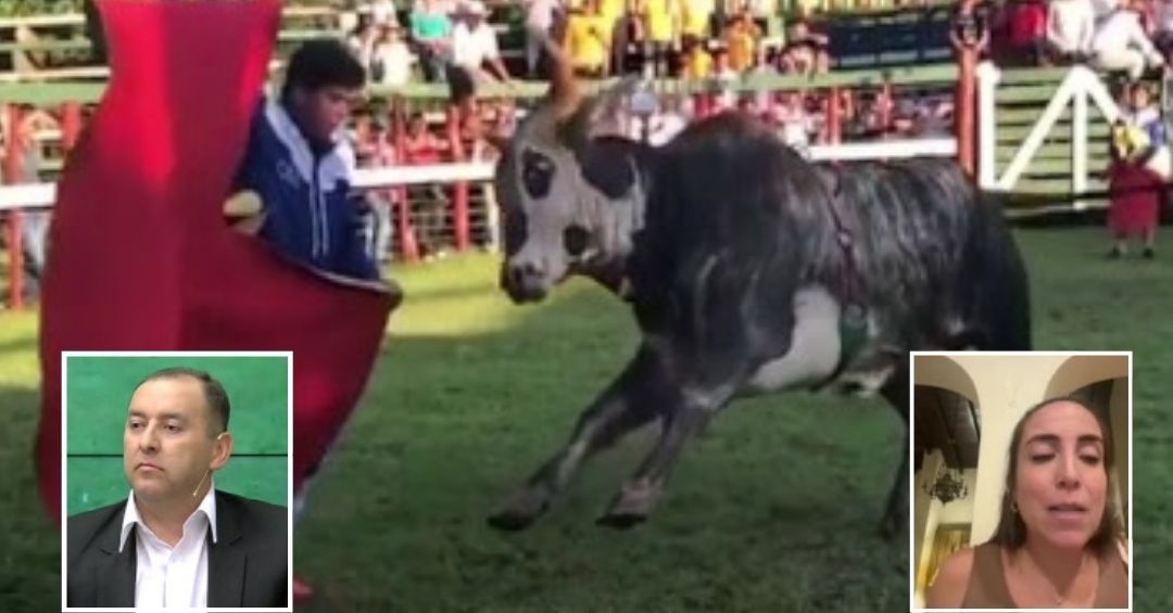 C9NParaguay's tweet card. Conversamos sobre el proyecto de ley que busca declarar las corridas de toros como un patrimonio cultural del país.