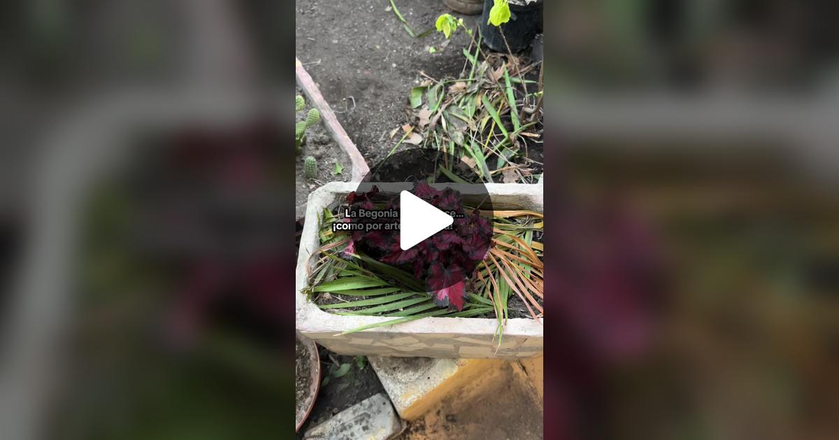 eaacey's tweet card. Echa un vistazo al video de e.may_95.