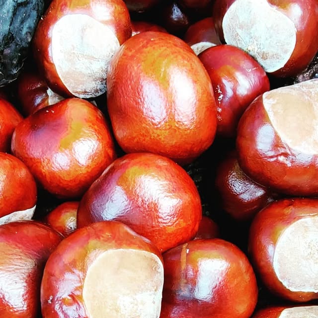 beardcoder's tweet card. Markus Sommer (@markus.sommer) • Instagram photo