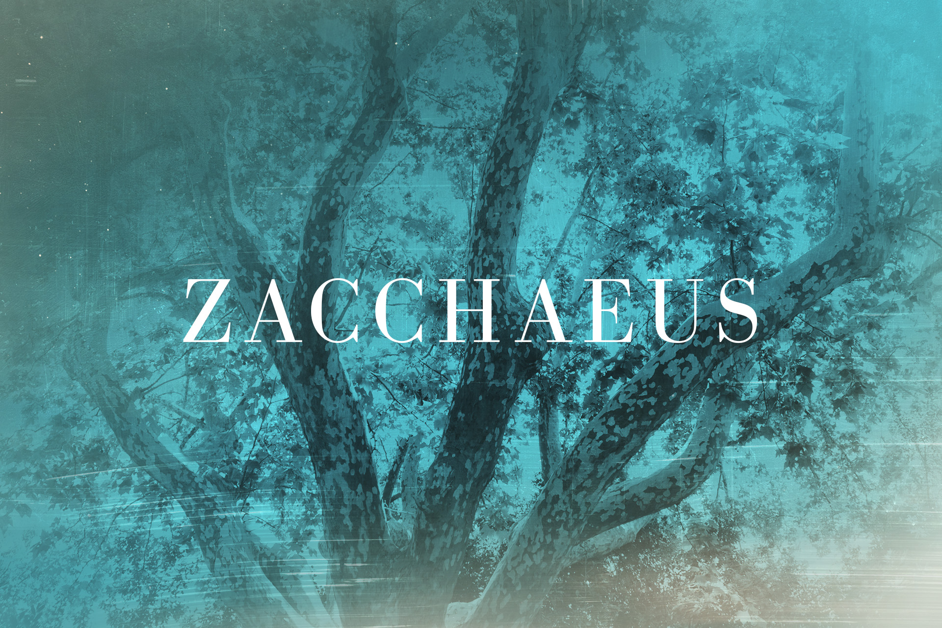 BillyGraham's tweet card. Part one in a four-part summer soul refresher on the journey from brokenness to belonging.