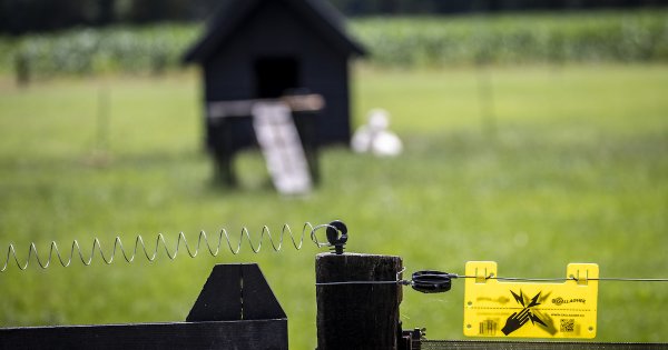 Image for twitter card