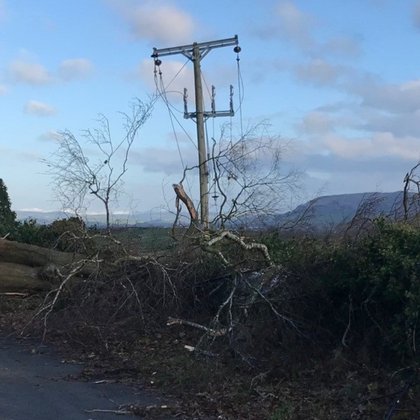 Tweet card summary image