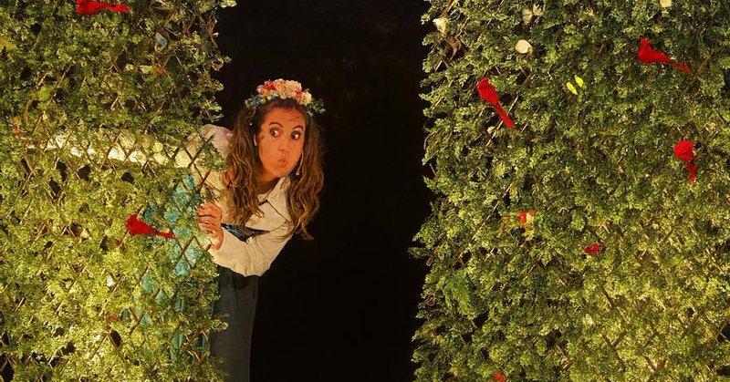 Tweet card summary image