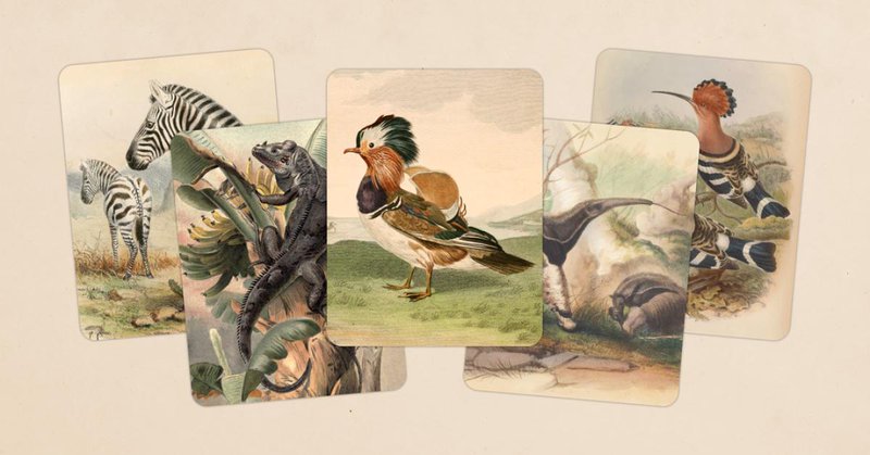 Tweet card summary image