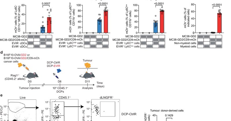 Tweet card summary image
