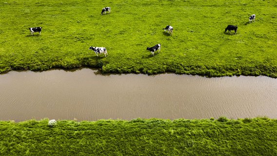 Image for twitter card