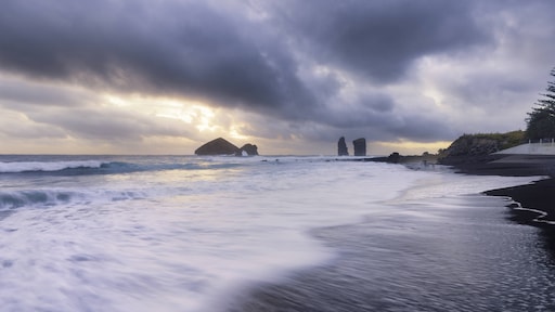 heleenekker's tweet card. De golfstroom in de Atlantische Oceaan, de AMOC, dreigt veel sneller dan gedacht een kantelpunt te bereiken. Als dat gebeurt, dan gaat dat waarschijnlijk in zo’n snel tempo, dat het voor mensen heel...