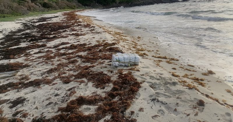 Tweet card summary image