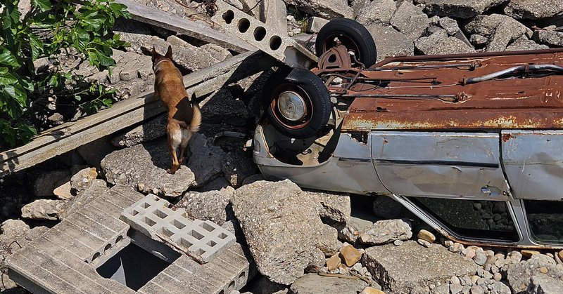 Tweet card summary image