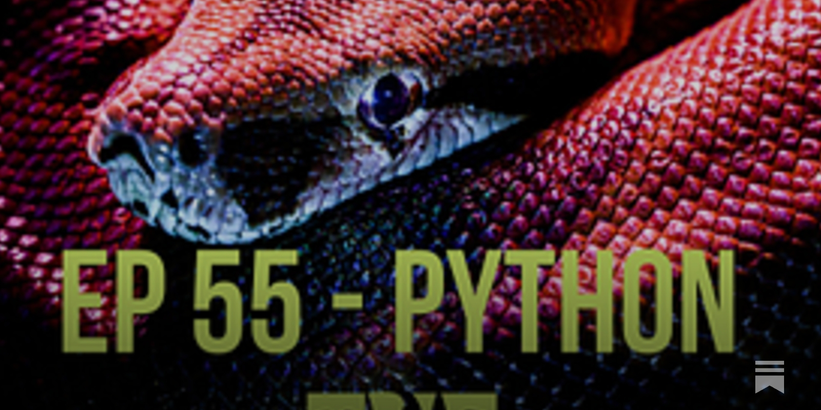 CultRepo's tweet card. In this episode, we have special guest Paul Everitt on the show to talk about the new Python Documentary that came our last week.