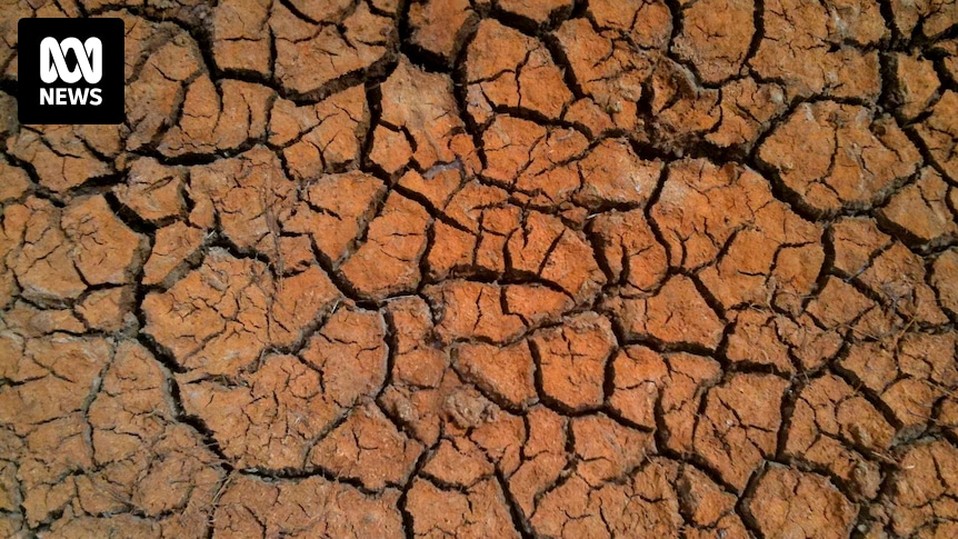 creatingchange's tweet card. Australian research shows naturally occurring megadroughts will be more severe and last longer due to climate change.