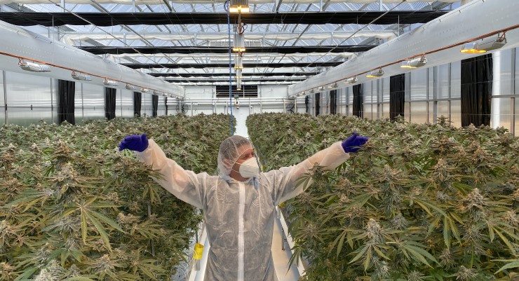 HempEdification's tweet card. Despite the prehistoric plant being allowed to be prescribed for medical use in 2016, its use as medicine has been disappointingly limited.