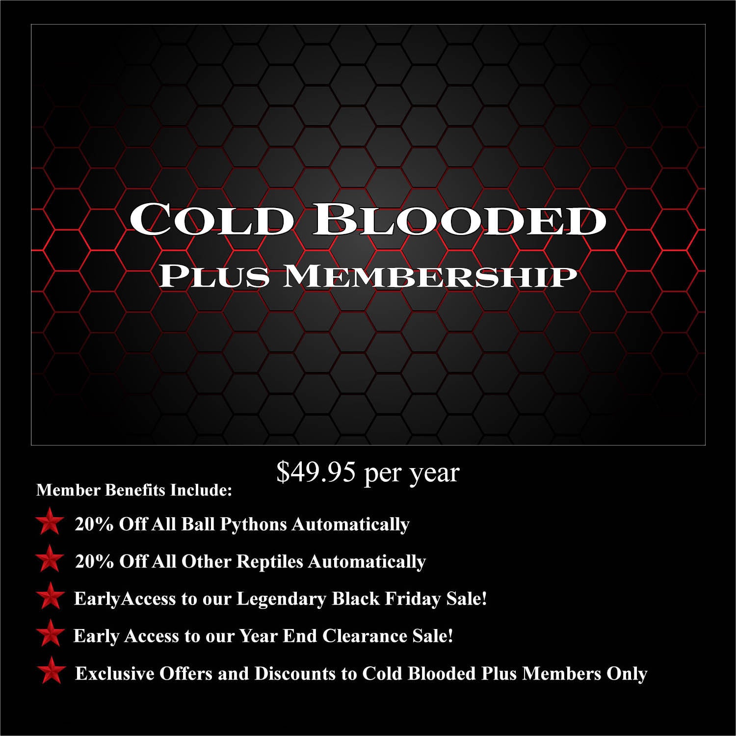 PythonBaller's tweet card. Cold Blooded Plus Member Benefits 20% Off All Ball Pythons Automatically 20% Off All Other Reptiles Automatically Early Access to our Legendary Black Friday Sale Early Access to our Year End Cleara...