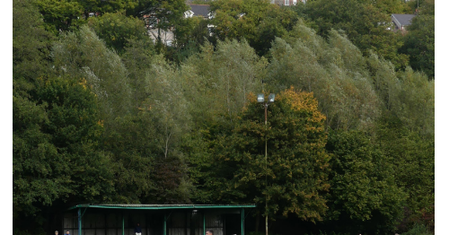 Tweet card summary image