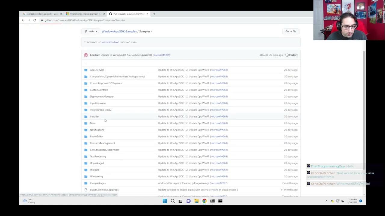 TProgrammingGuy's tweet card. Following the WASDK widget example!