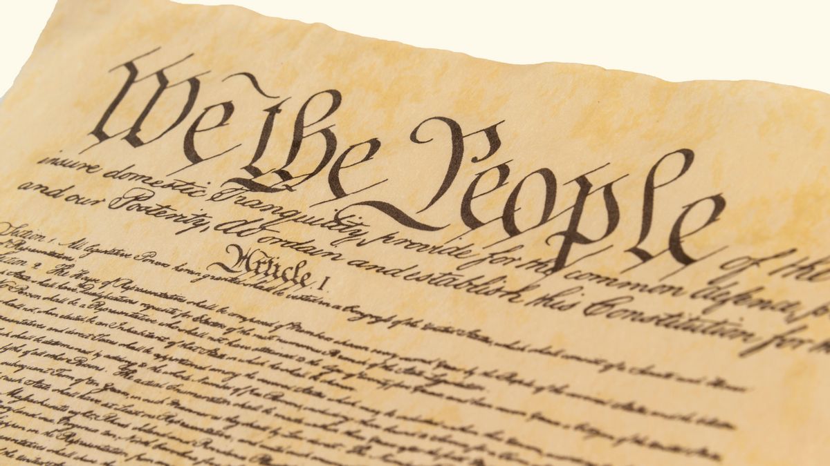 ConnAndBellaBea's tweet card. Sections of Constitution were missing from government website. Here's context