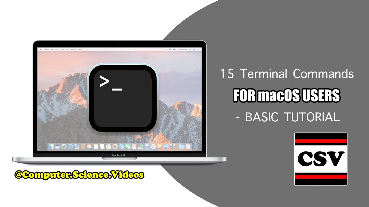 ComputerVideos's tweet card. 15 TERMINAL COMMANDS For Beginners, Programmers & macOS Users - Basic...