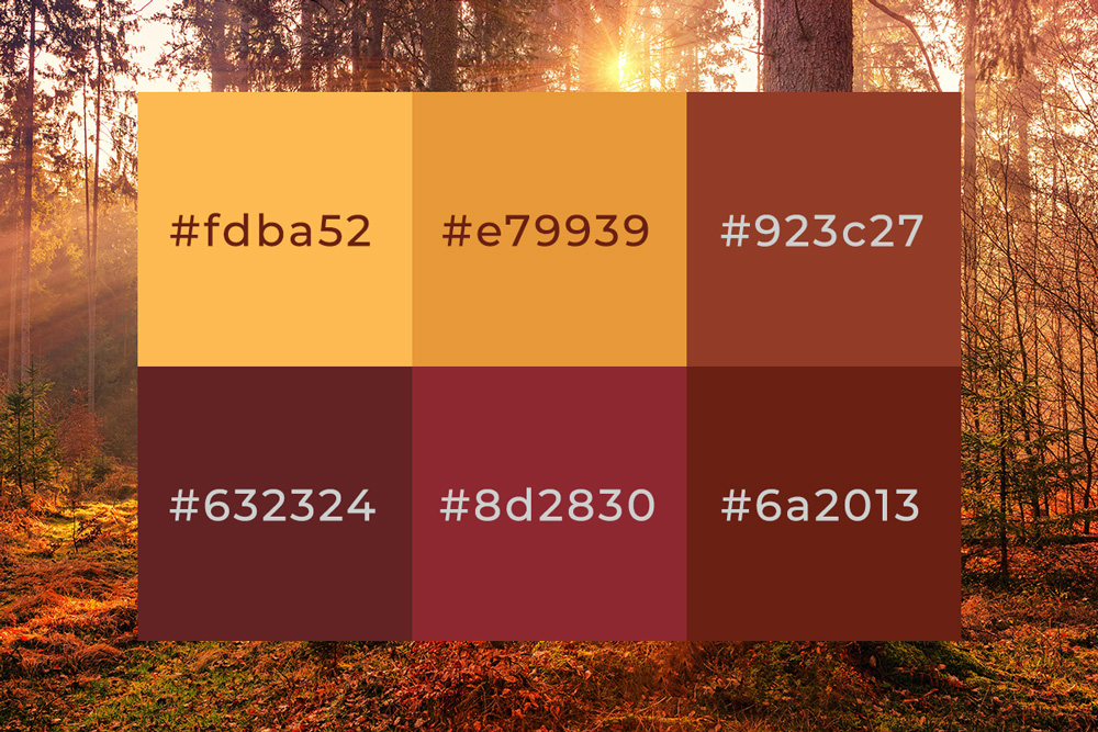 tidywebdesign's tweet card. Autumn is the season of warmth, cosy vibes, and rich, earthy tones. To celebrate this beautiful time of year, we’ve put together an autumn-inspired colour palette that captures the essence of fall....