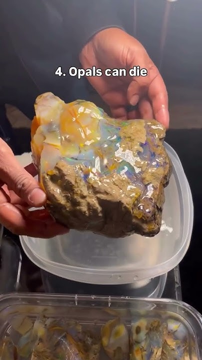 steadfastcoder's tweet card. Which one blew your mind? ✨Follow us for more!✨ #gemstones #bismuth...