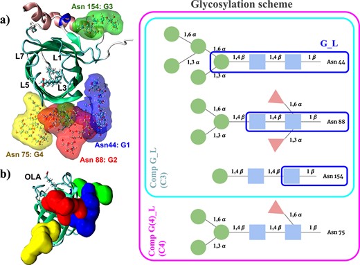 mbuanand's tweet card. Abstract. The unique viviparous Pacific Beetle cockroaches provide nutrition to their embryo by secreting milk proteins Lili-Mip, a lipid-binding glycoprot