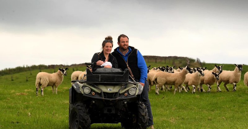 Tweet card summary image