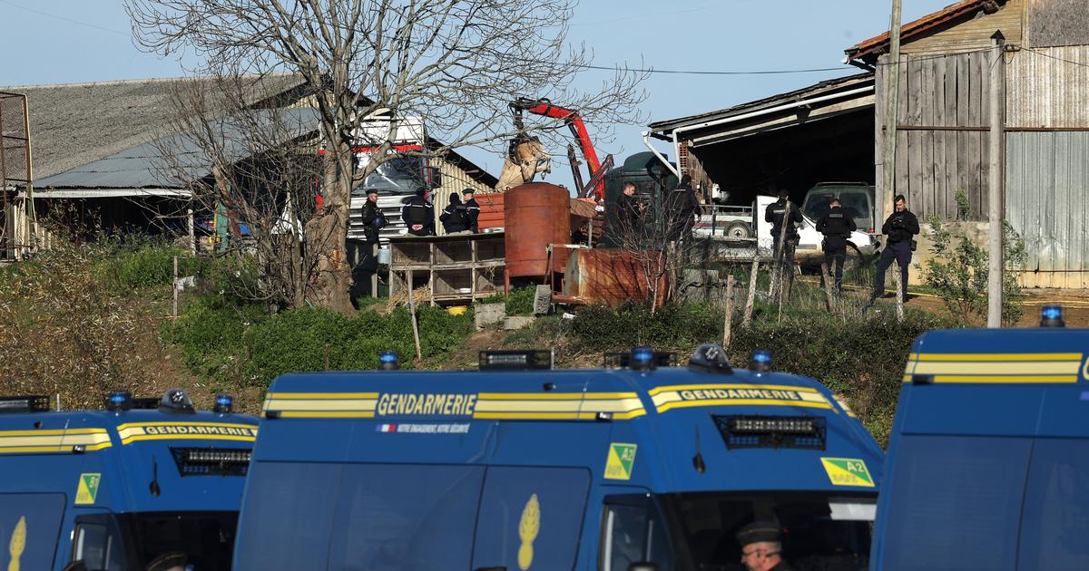 plumedeschamps's tweet card. REPORTAGE - Plus de 200 vaches ont dû être abattues ce vendredi après la découverte d’un cas de dermatose dans ce troupeau. Face à cette décision qu’ils estiment « profondément injuste », les...
