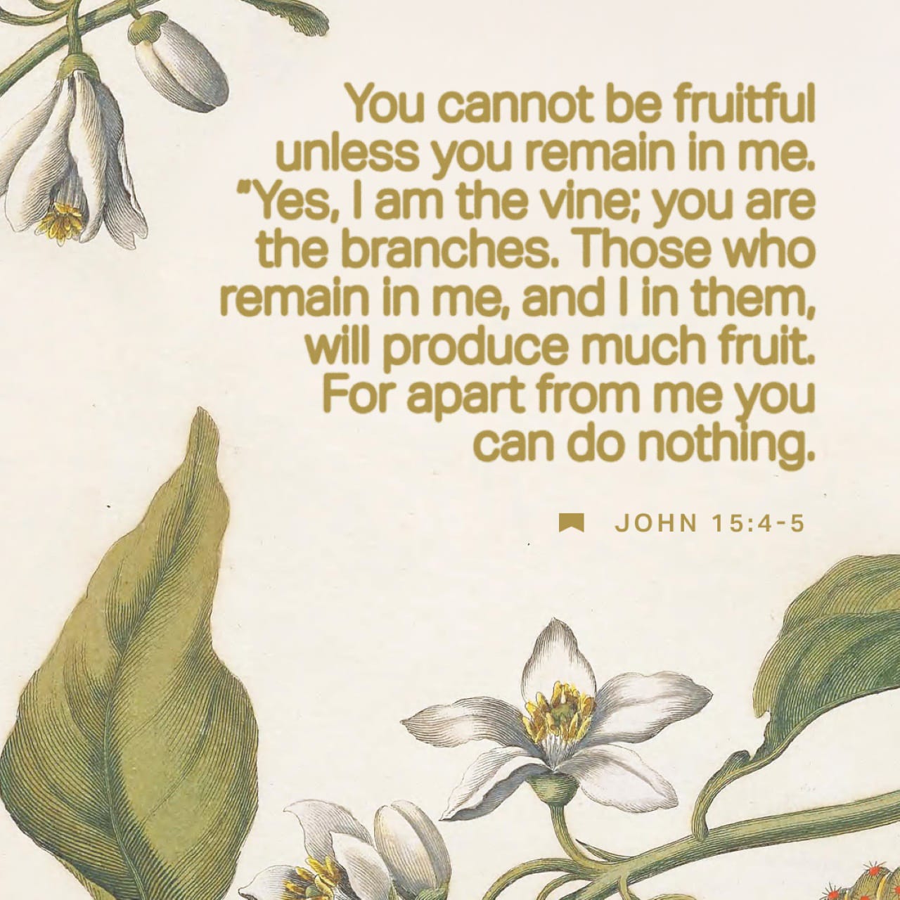 JavaScripture's tweet card. I am the vine; you are the branches. Whoever abides in me and I in him, he it is that bears much fruit, for apart from me you can do nothing.