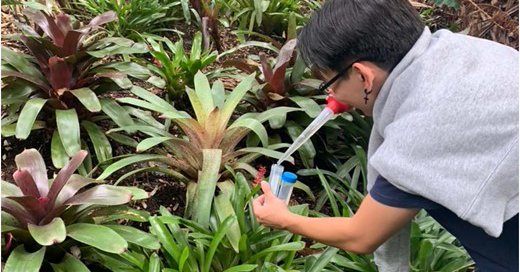 Tweet card summary image