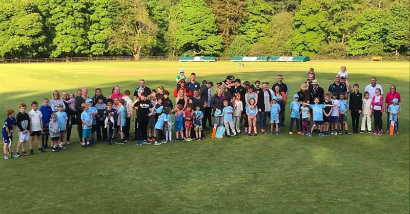 Tweet card summary image