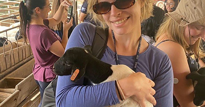 Tweet card summary image