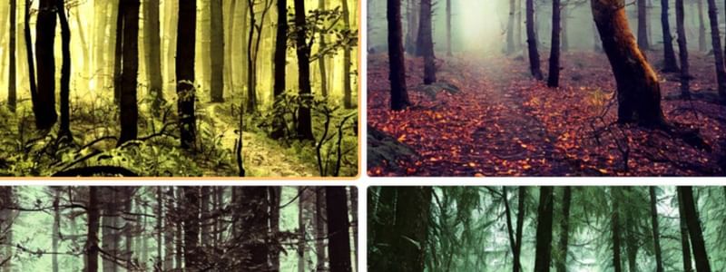 STKO_UCSB's tweet card. Checkout this event on Airmeet