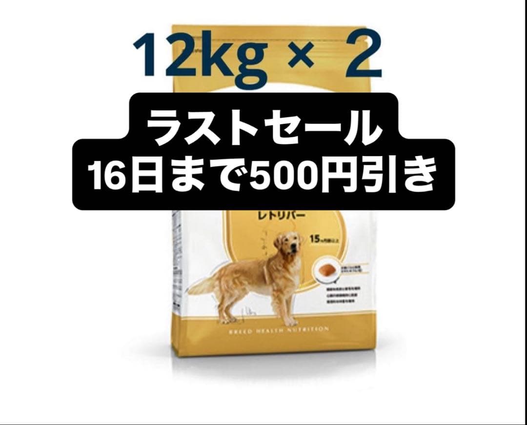 ゴールデン用のロイヤルカナン12kg×2袋出てるよ～！被毛つやつや維持
