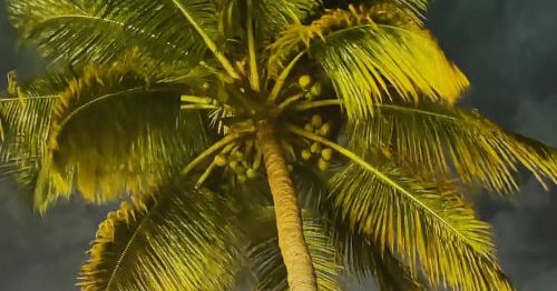 Tweet card summary image