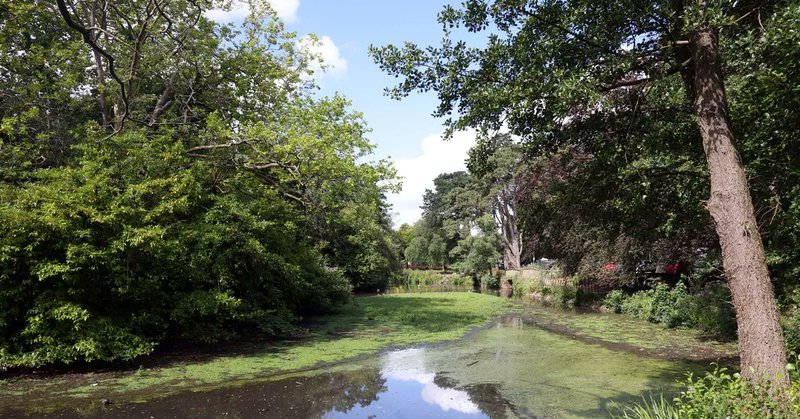 Tweet card summary image