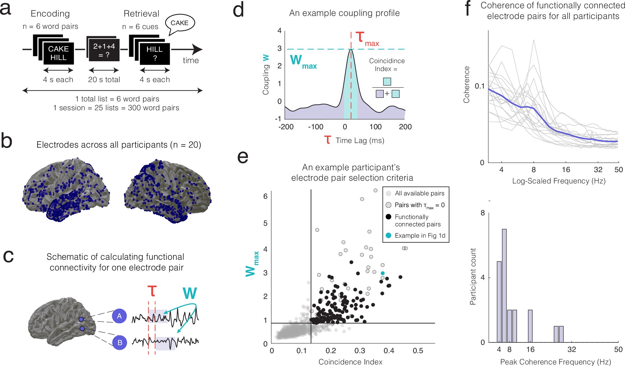 audreyphan_'s tweet card. Nature Communications - Using direct brain recordings, Phan et al. find that fast sub-second changes in connectivity between brain regions are involved in forming individual memories and are...