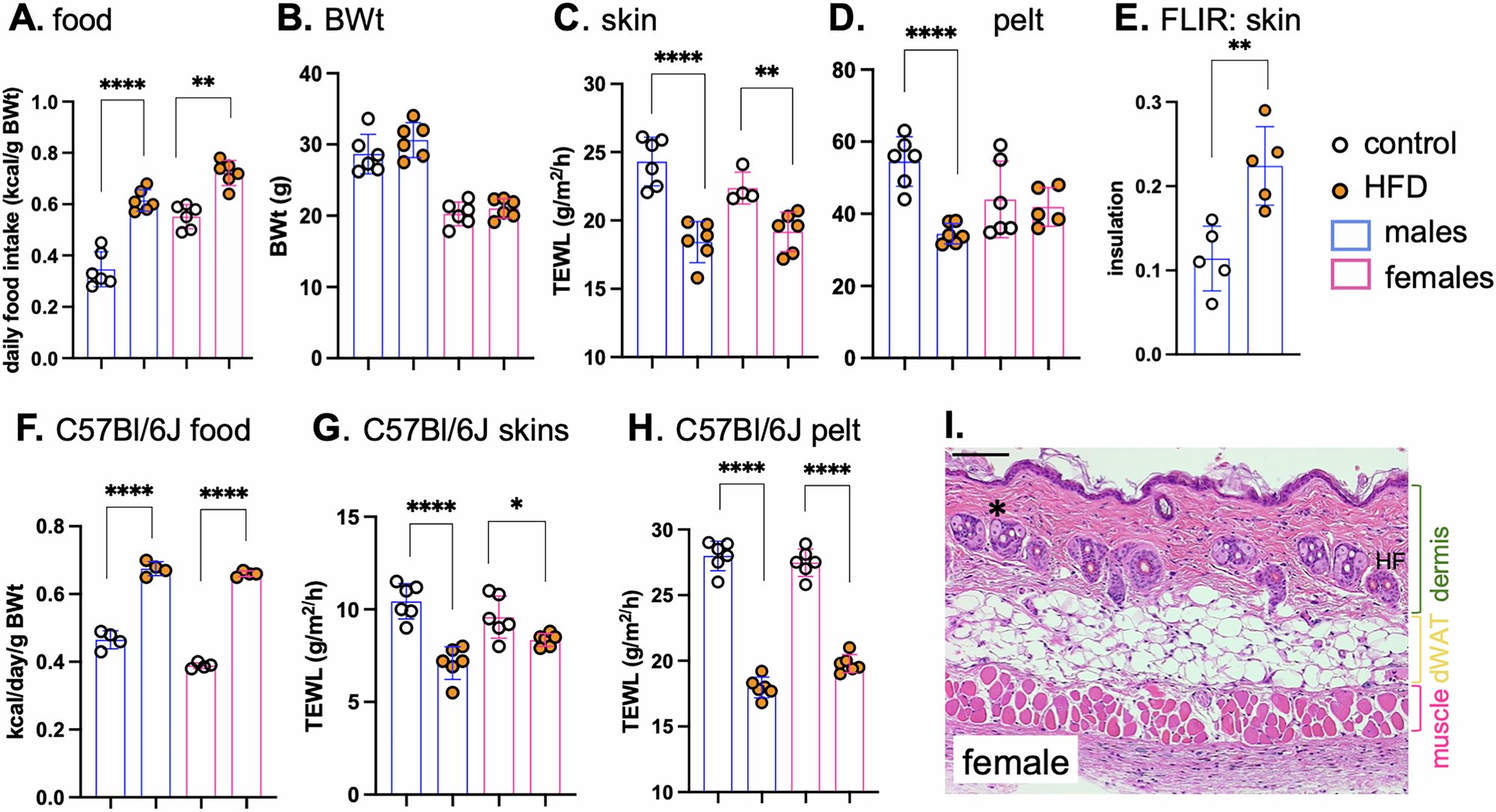JudithSimcox's tweet card. Nature Communications - The mechanisms underlying the regulation of the skin thermal barrier are poorly understood. Here the authors show that the thermal properties of the skin are reactive to...