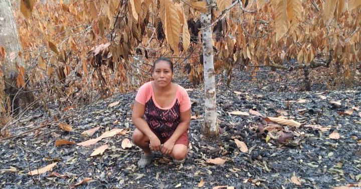 Tweet card summary image