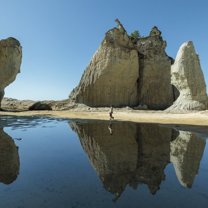 Tweet card summary image