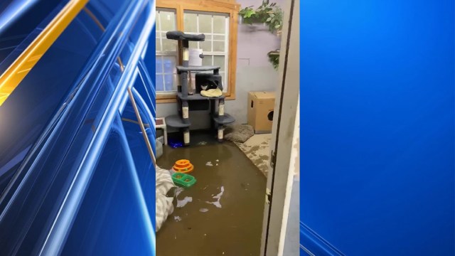 cybercoder's tweet card. JACKSONVILLE, Texas (KETK) – The heavy rains this morning left quite a mess across East Texas, and for County Roads Rescue, it could have been life or death. Stephanie Hassell posted a video …