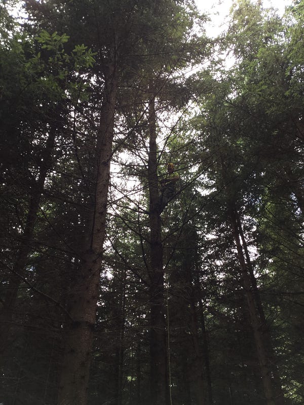 mbalmer's tweet card. Lua Userdata: Defining Your Own Data Types