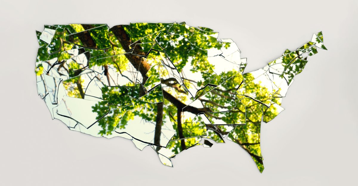 TheAtlantic's tweet card. In a culture devoid of moral education, generations are growing up in a morally inarticulate, self-referential world.