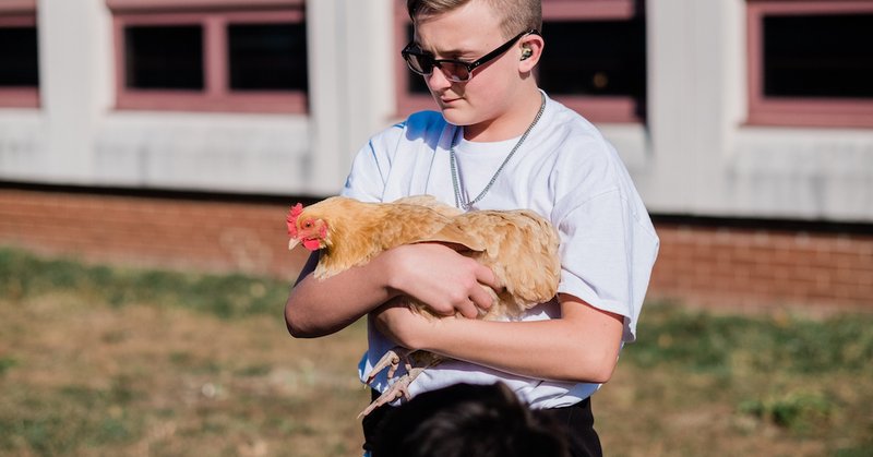 Tweet card summary image