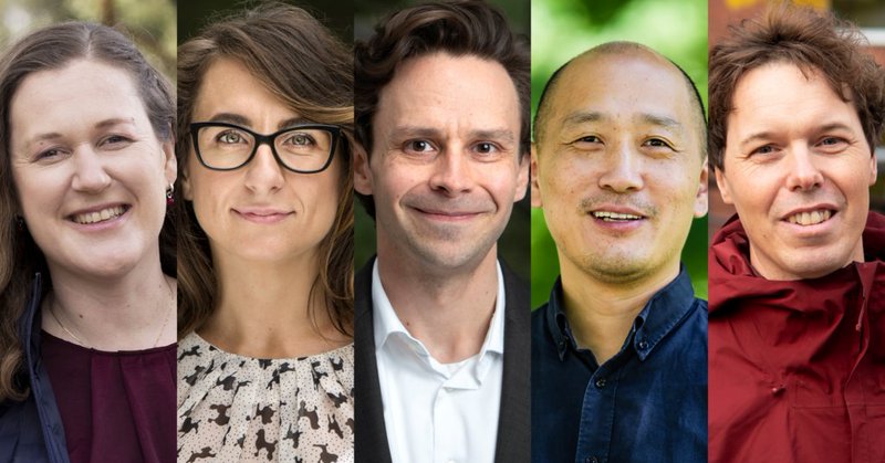 Tweet card summary image