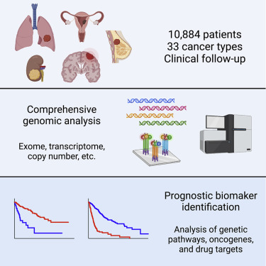 JSheltzer's tweet card. Smith and Sheltzer identify genomic alterations linked with outcome across 32 cancer types. They identify thousands of prognostic biomarkers and reveal a prominent association between gene copy...