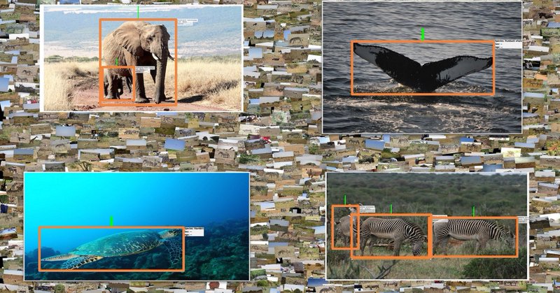 Tweet card summary image