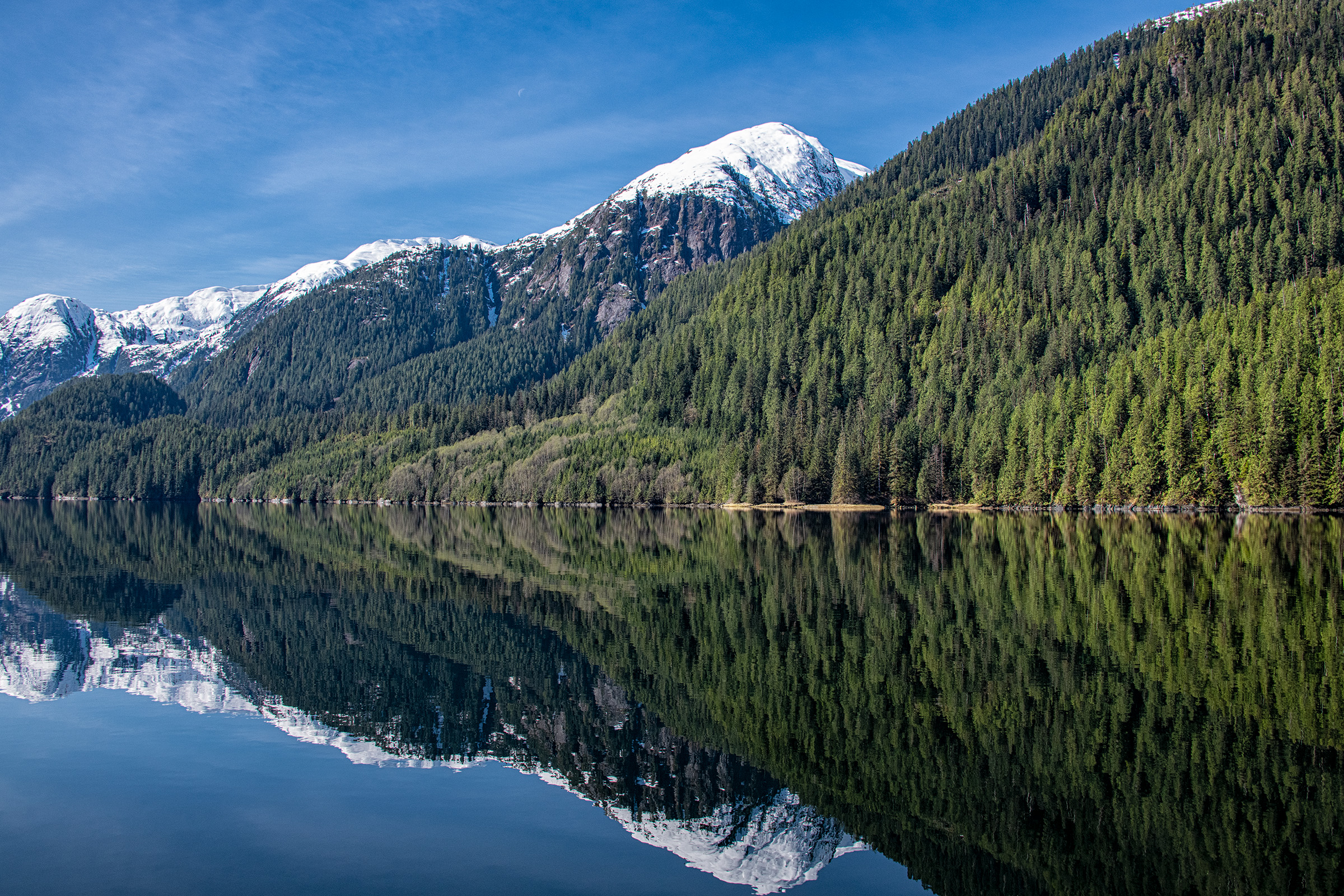 sfiprogram's tweet card. Are you new to forest certification? Looking to make sense of the different certification standards and how your furniture brand can benefit? We recently sat down with Nick Johnson, Director of...