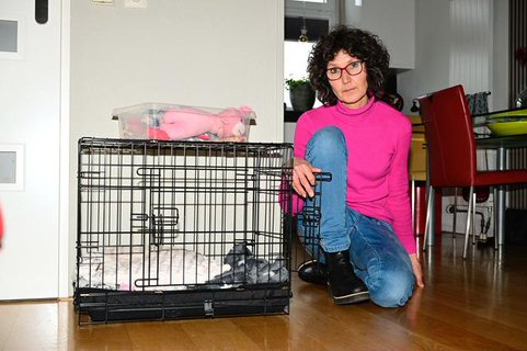 Image for twitter card