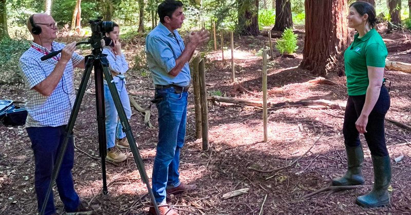 Tweet card summary image