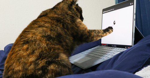 Tweet card summary image