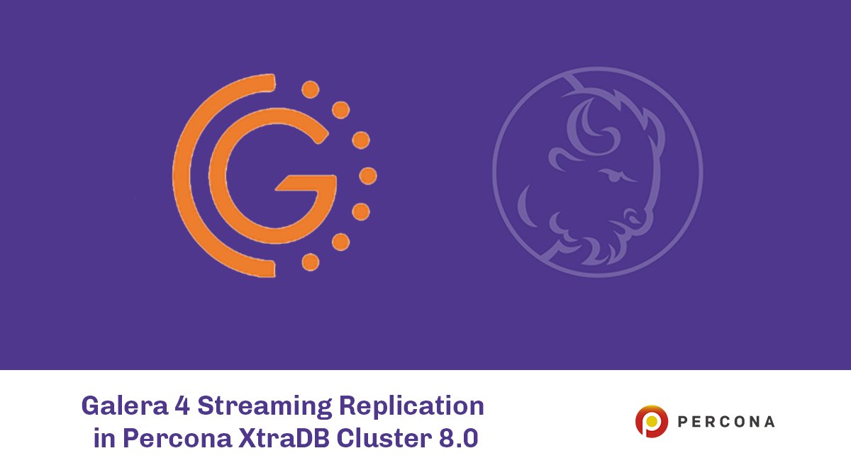 AskDBExperts's tweet card. Testing Percona XtraDB Cluster 8.0 with the Galera 4 plugin, and sharing thoughts on the Streaming Replication feature.